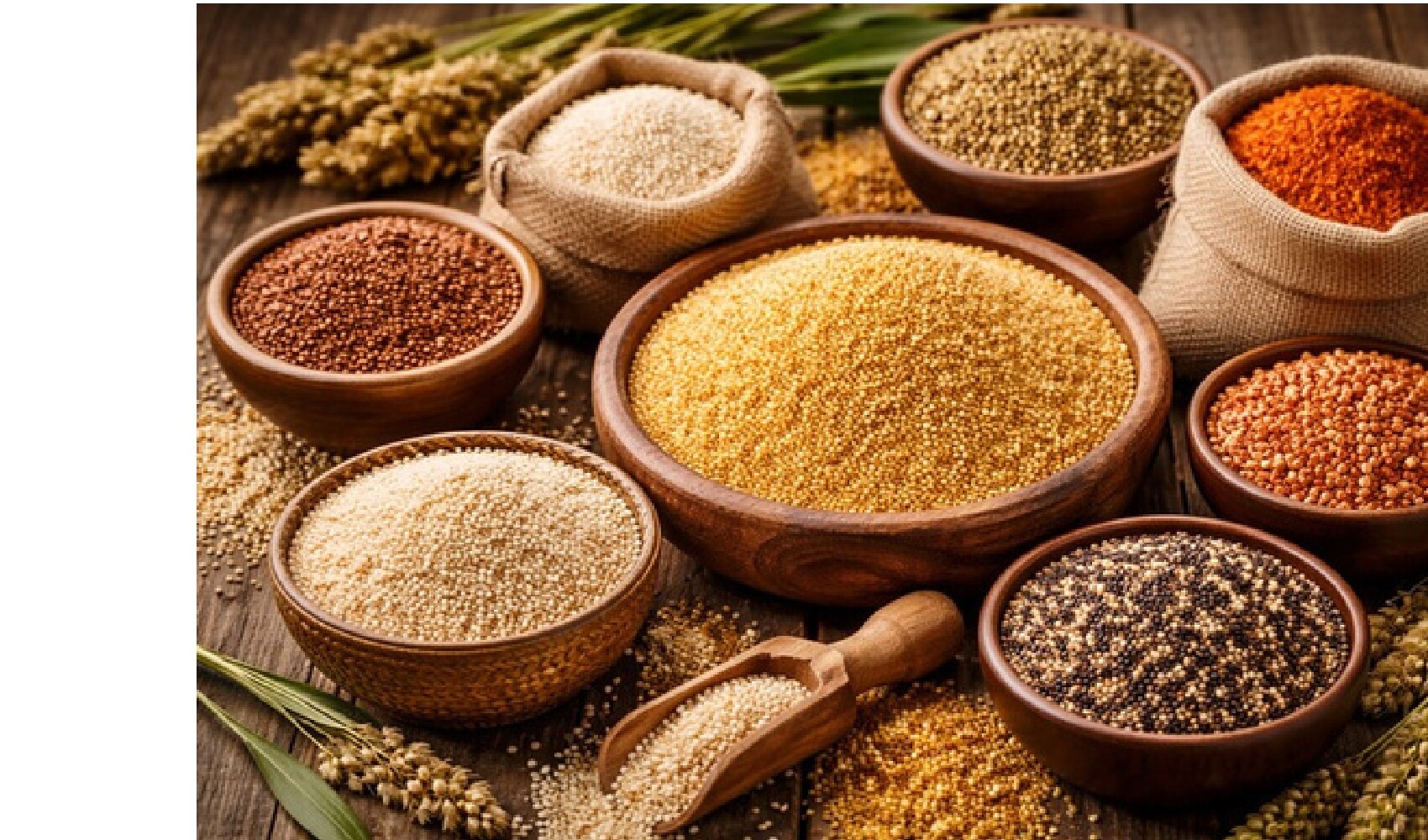 Multi Millet Powder